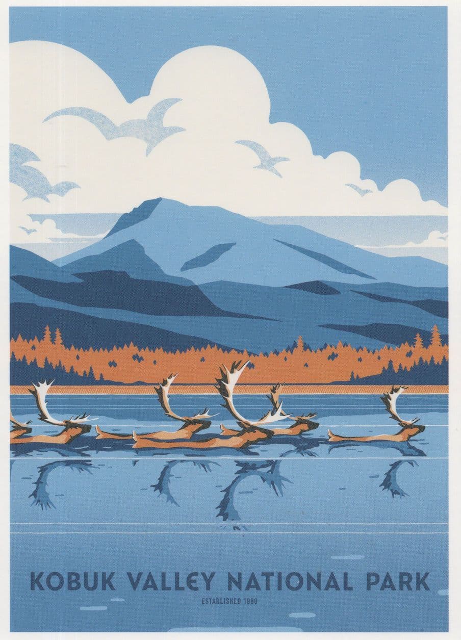 Kobuk Valley National Park Arctic Sand Dunes Caribou  RiverUSA Postcard