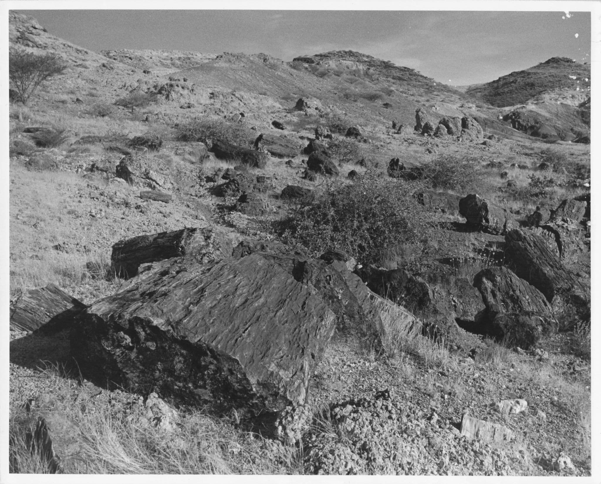 Koobi Fara Kenya Archaeology Site Official Large 10x8 Vintage African Photo