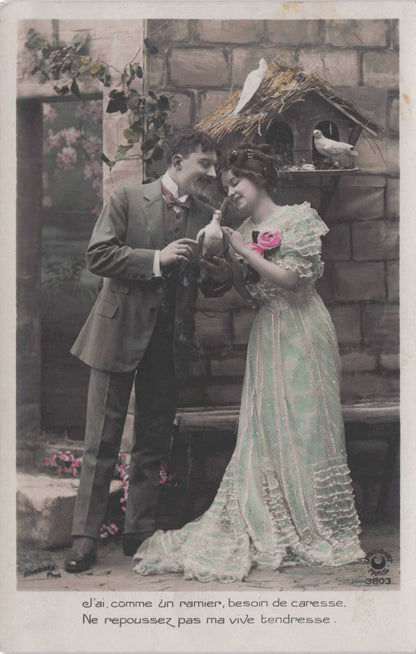 Lady Caressing Bird Under Antique House Nest Man Lovers Secret Code Old Postcard