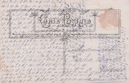 Lady Caressing Bird Under Antique House Nest Man Lovers Secret Code Old Postcard