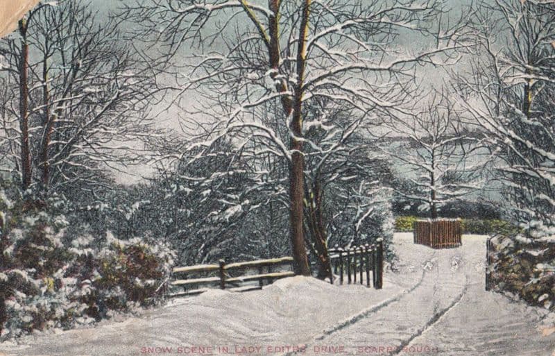 Lady Edith Drive At Christmas Snow Scarborough Antique Postcard
