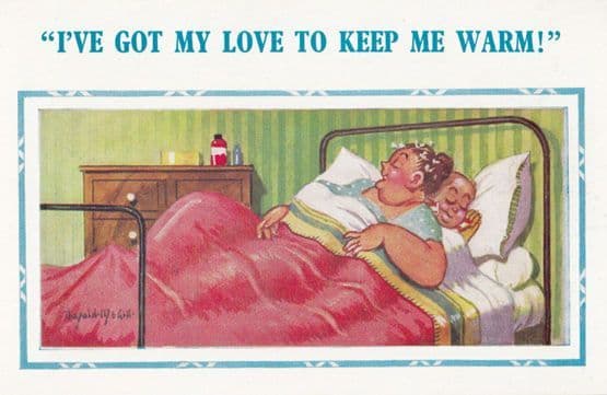 Lady In Hair Rollers Keeping Warm With Lover Cute Comic Humour Postcard