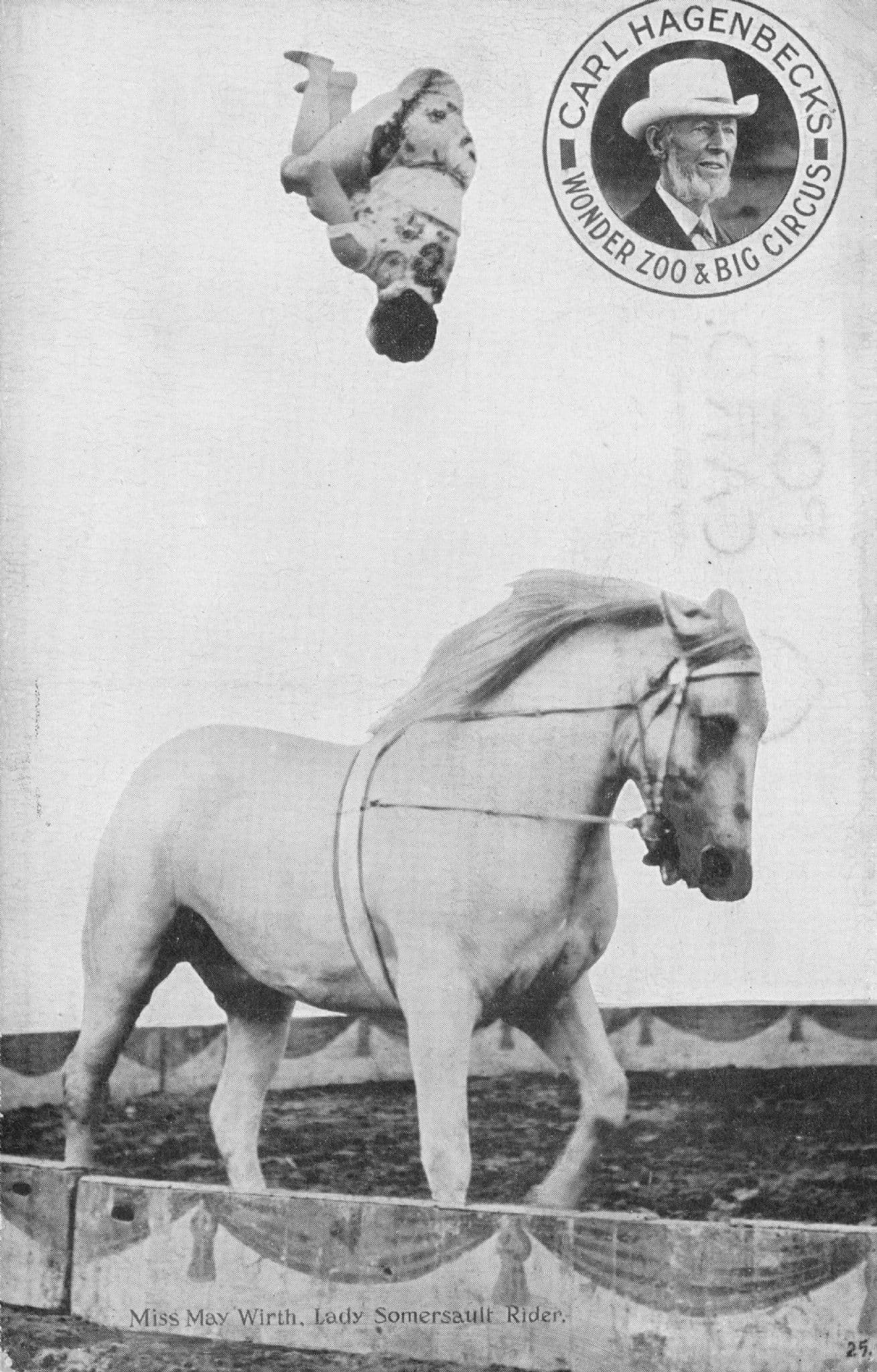 Lady Somersault Horse Stunt Rider Carl Hagenbecks Circus Old Postcard