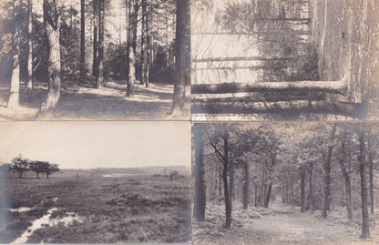 Lake District & Barrow In Furness Forest 8x Antique Postcard s