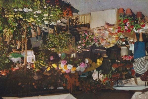 Lake Maggiore The Market Flower Markets Swiss Switzerland Postcard
