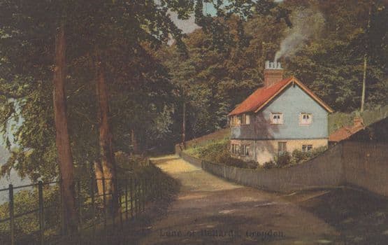 Lane at Ballards Croydon Antique Surrey Postcard