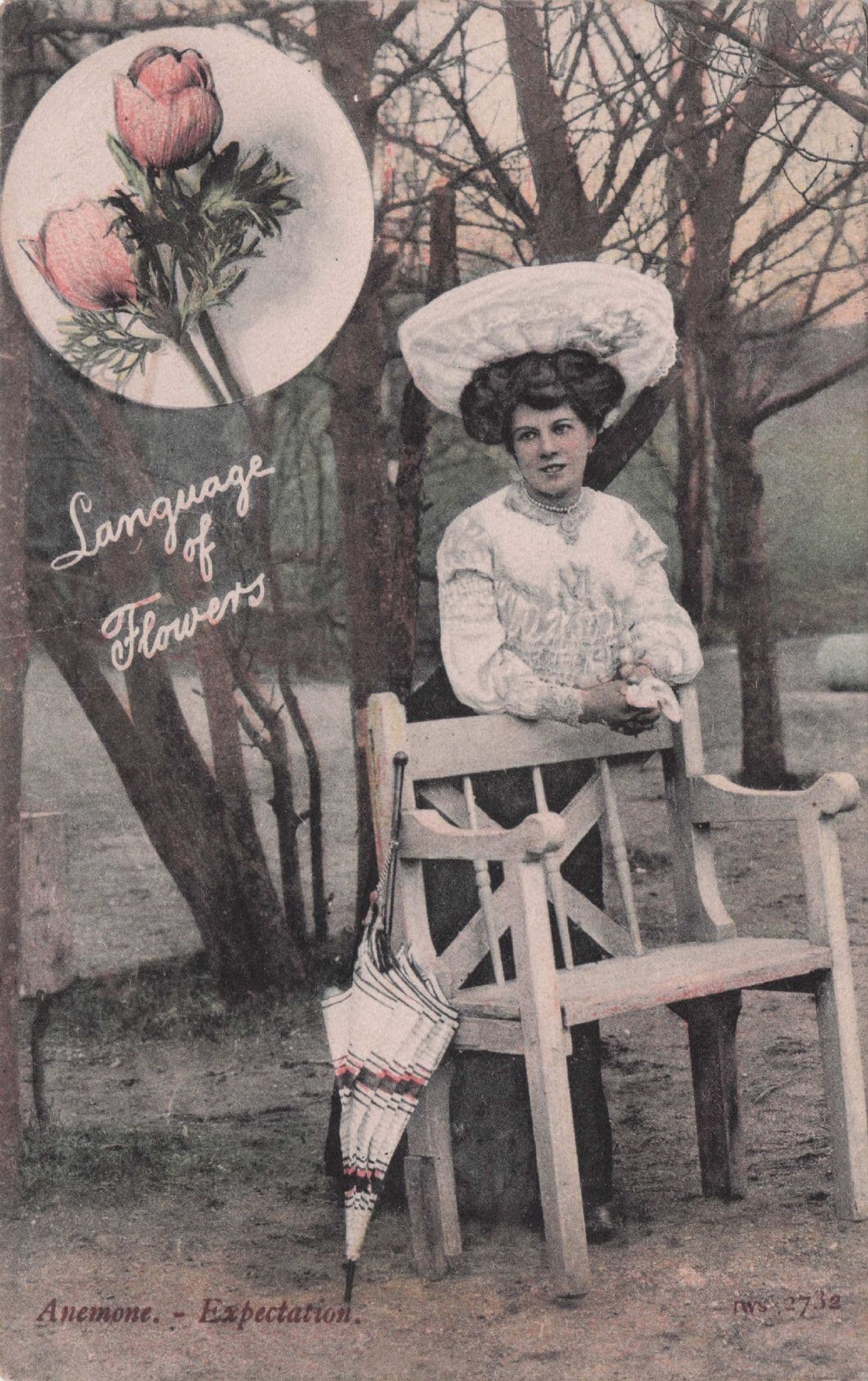 Language Of Flowers Anemone Expectation Old Romantic Postcard