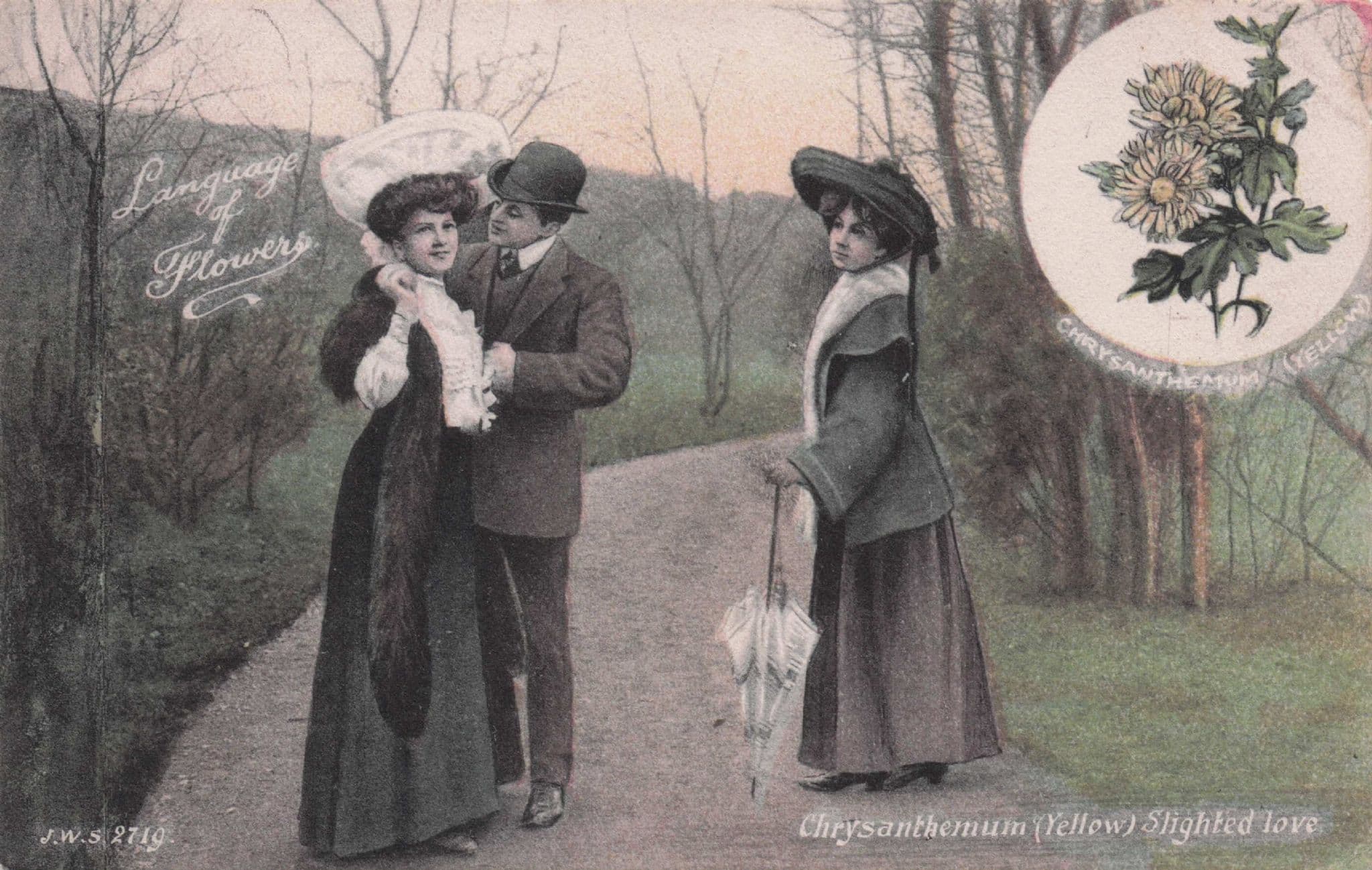 Language Of Flowers Chrysanthemum Slighted Lover Romance Old Postcard