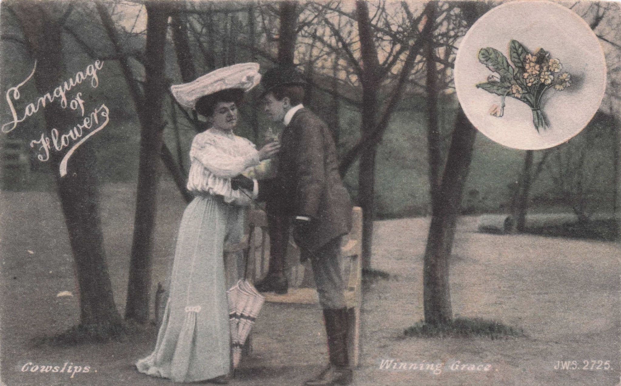 Language Of Flowers Cowslips Winning Grace Old Lovers Postcard