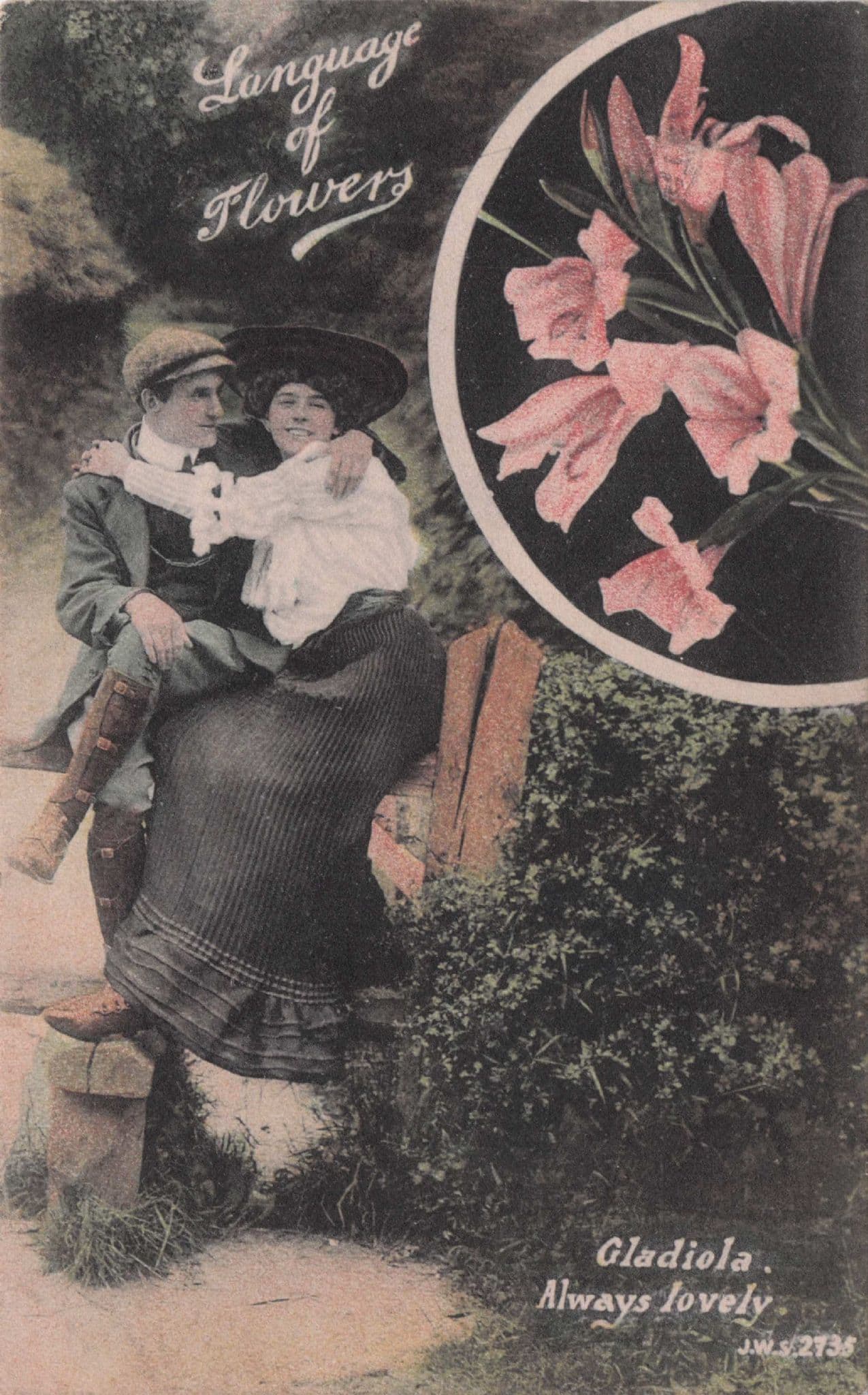 Language Of Flowers Gladiola Always Lovely Romance Postcard