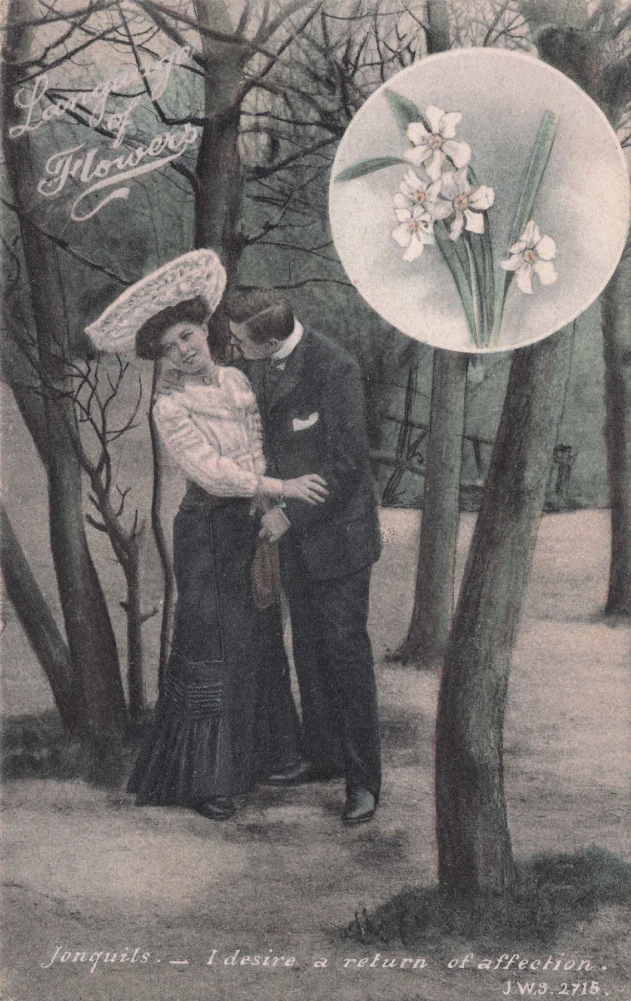 Language Of Flowers Jonquils Return Of Lovers Affection Romance Postcard