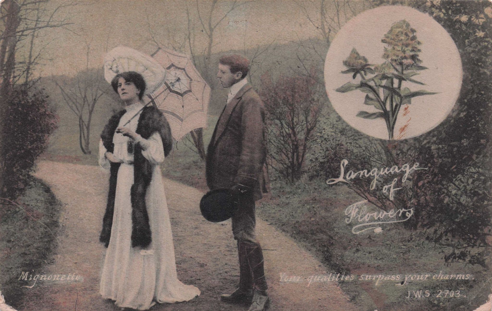 Language Of Flowers Mignonette Lovers Charms Qualities Old Postcard