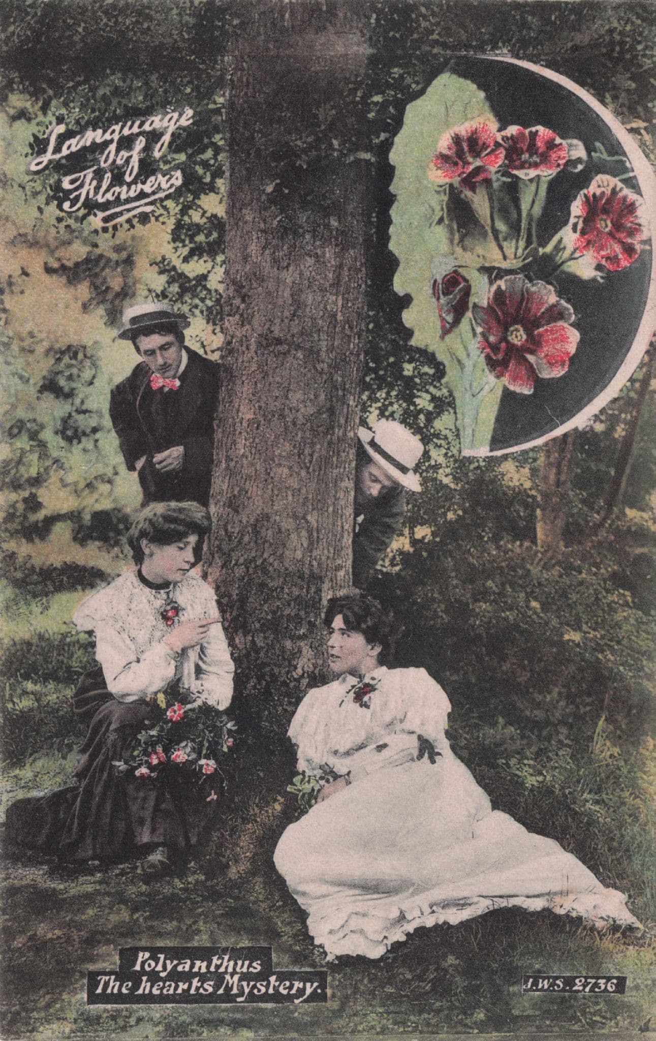 Language Of Flowers Polyanthus The Hearts Mystery Old Love Postcard