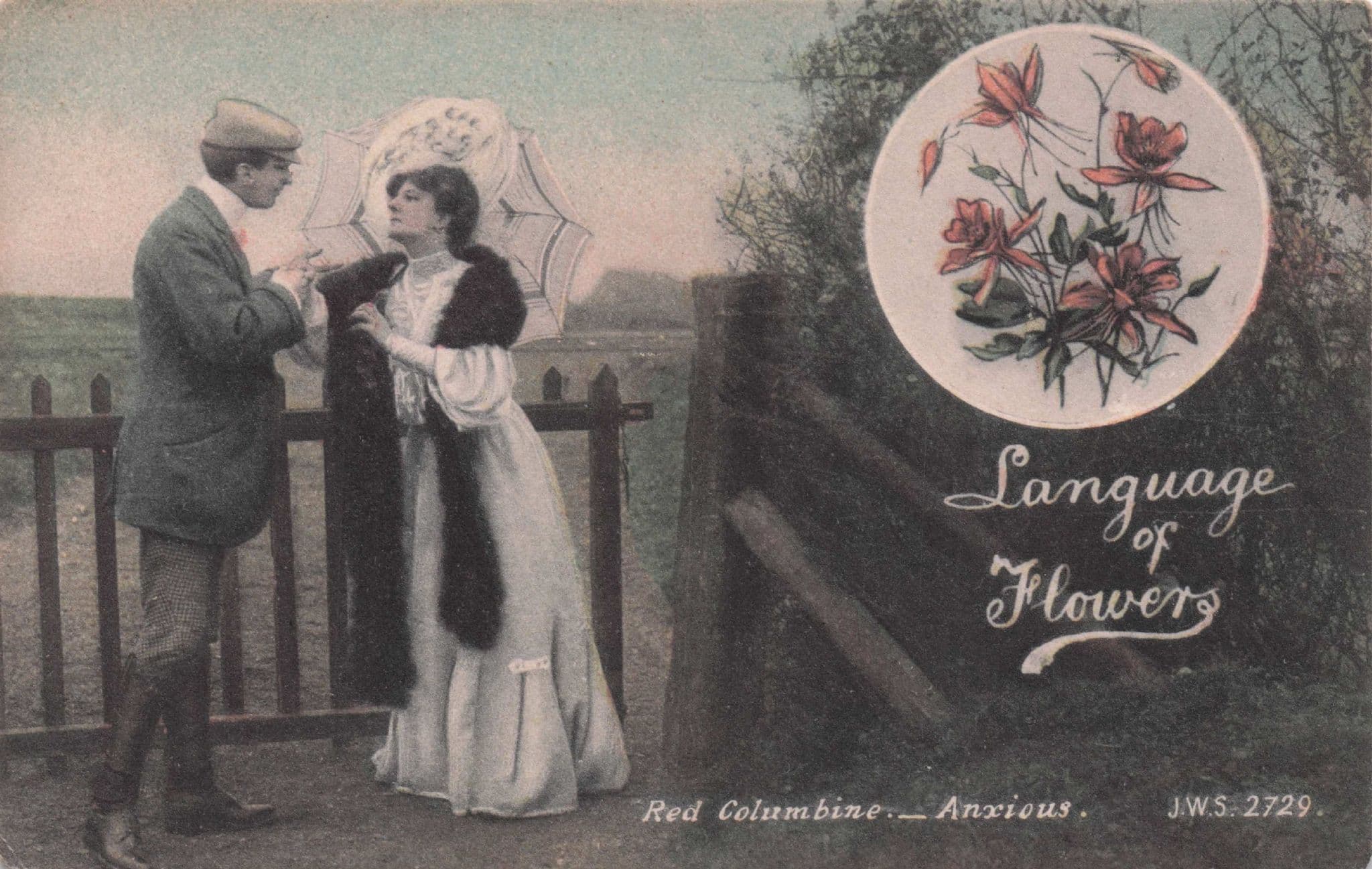 Language Of Flowers Red Columbine Anxiety Lovers Old Postcard