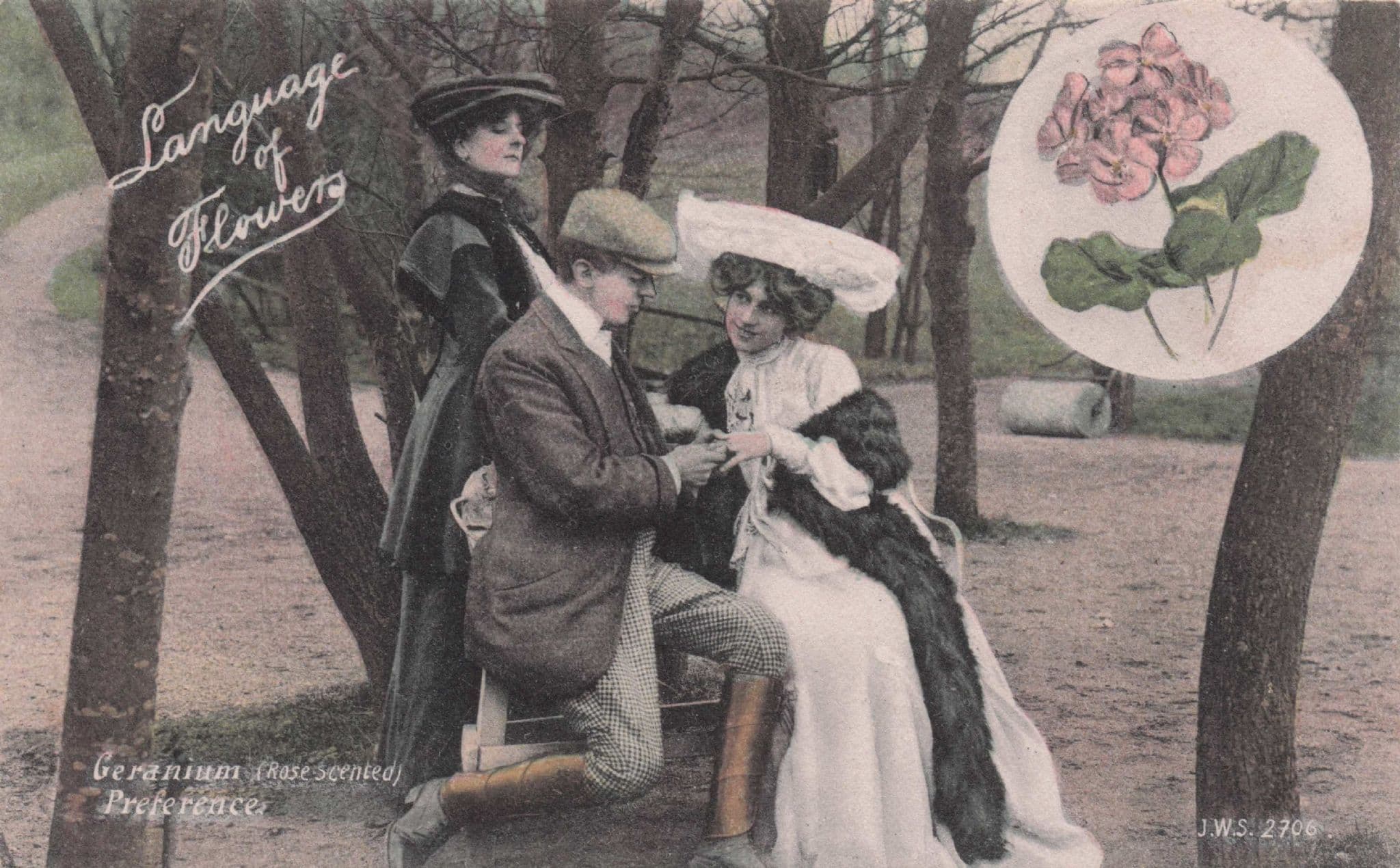 Language Of Flowers Rose Scented Geranium Lovers Proposal Old Postcard