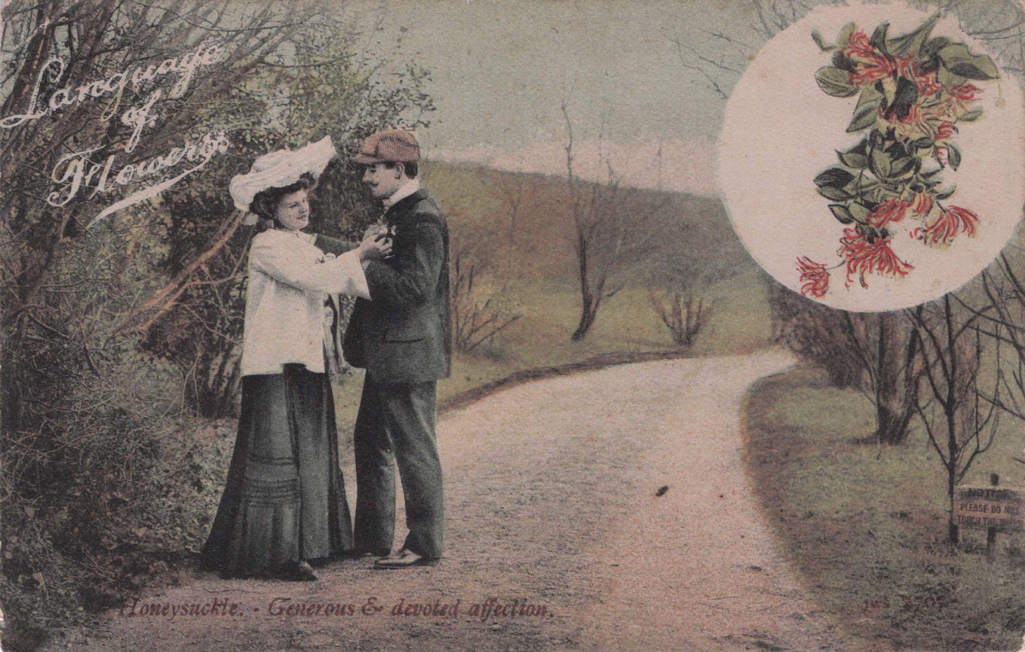 Language Of Flowers Snowdrops Honeysuckle Lovers Embrace Romance Postcard