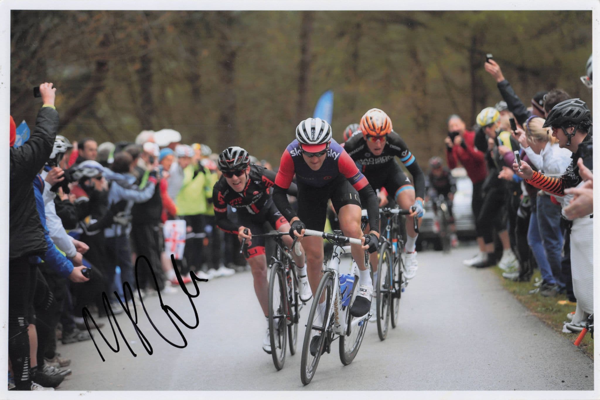 Lars Petter Nordhaug Norway Cyclist 2015 Tour De Yorkshire 12x8 Hand Signed Photo