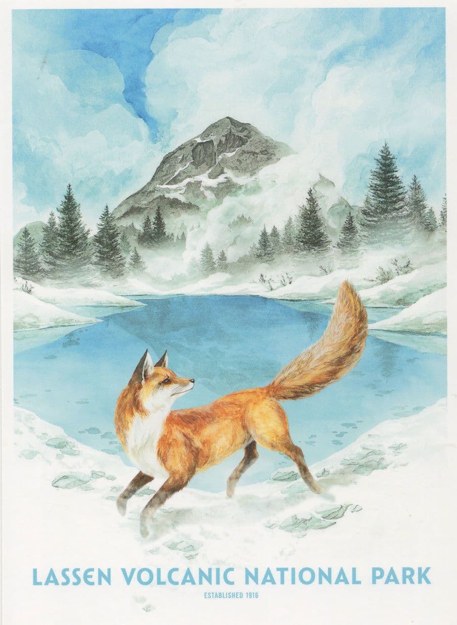 Lassen Volcanic National Park California Lava Rocks Fox USA Postcard