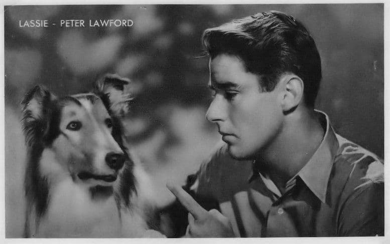 Lassie The Dog Rare Kwatta Belgium Postcard Size Film Photo