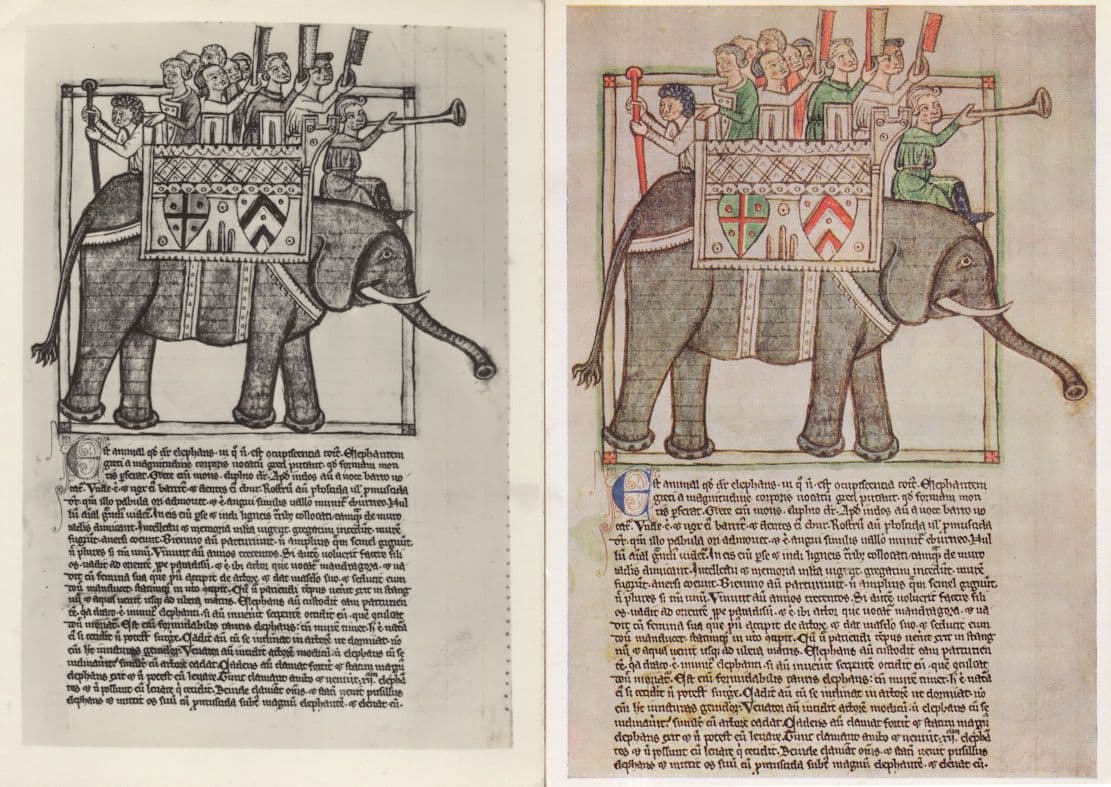 Latin 13th Century Elephant Bestiary British Museum 1970s 2x Postcard s