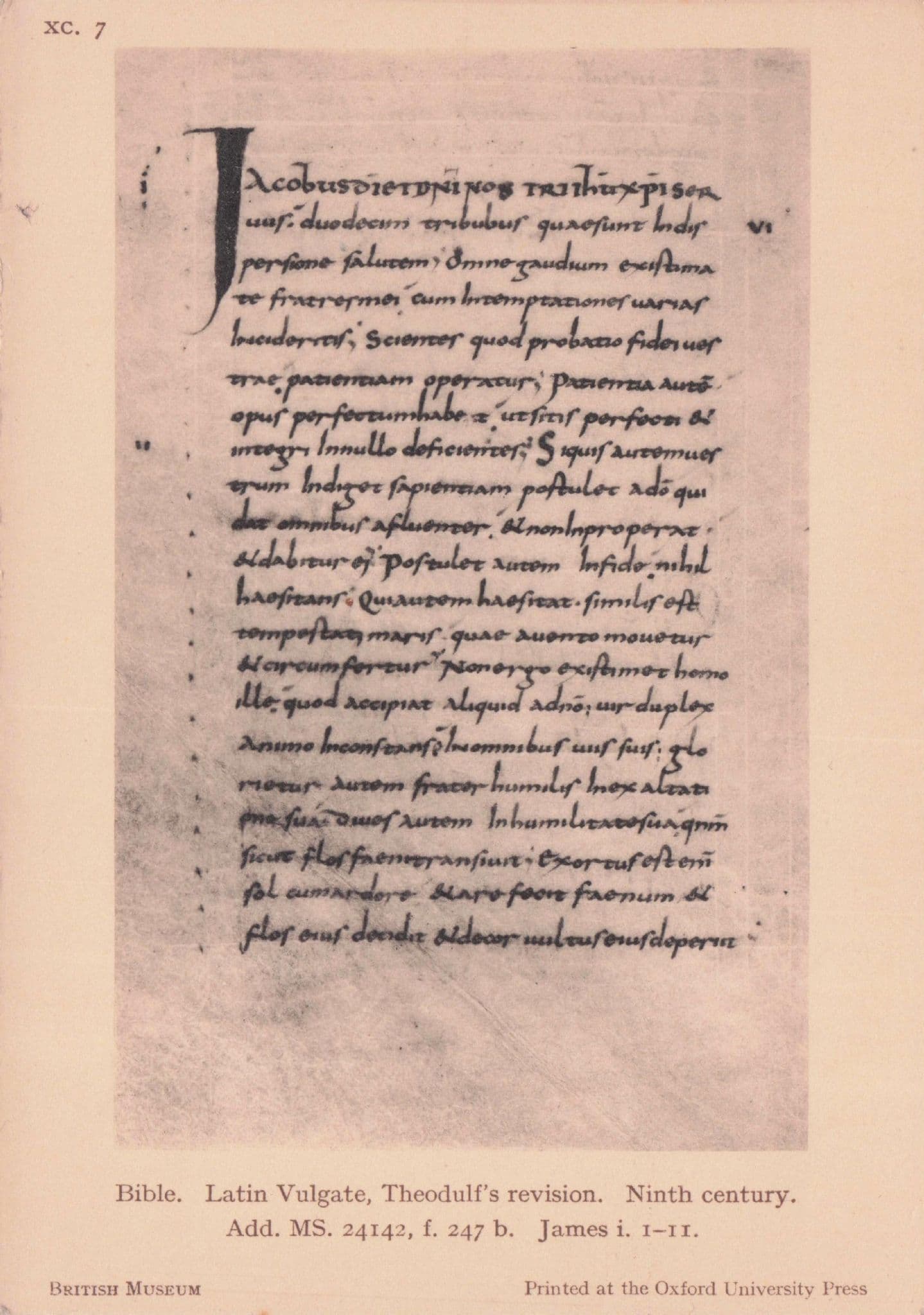 Latin Vulgate James Theodold's Antique 9th Century Bible Old Postcard