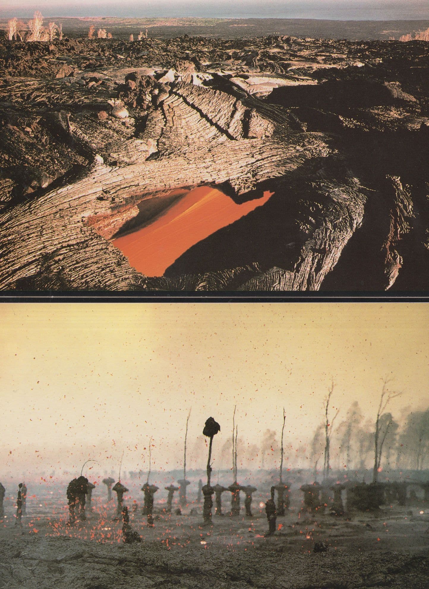Lava Trees & Skylight Underground Flow Tube 2x Volcano Postcard s