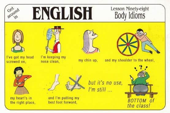 Learn English British Body Idioms Comic Humour Postcard