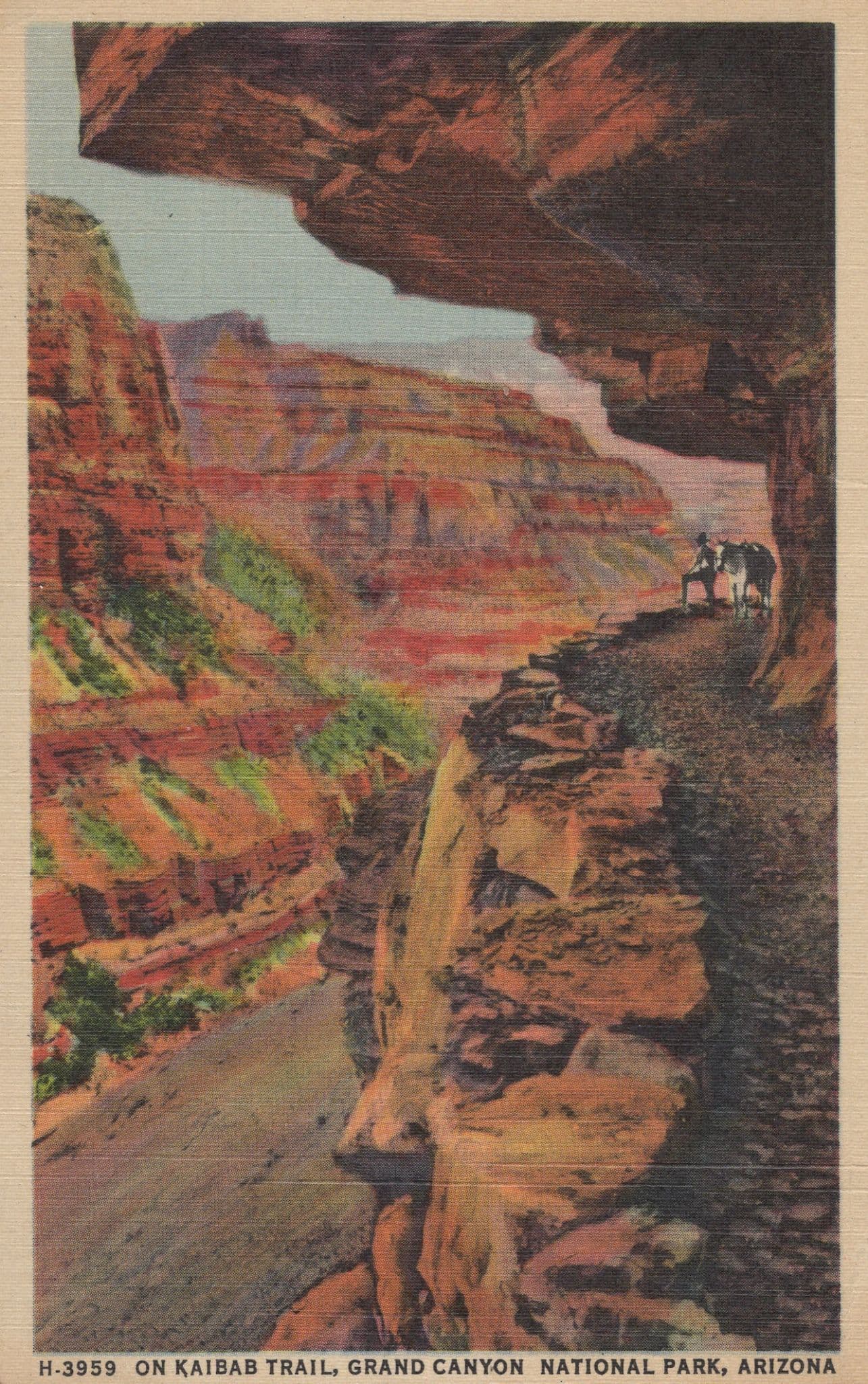 Ledges on Kaibab Trai Grand Canyon USA National Park Vintage Postcard