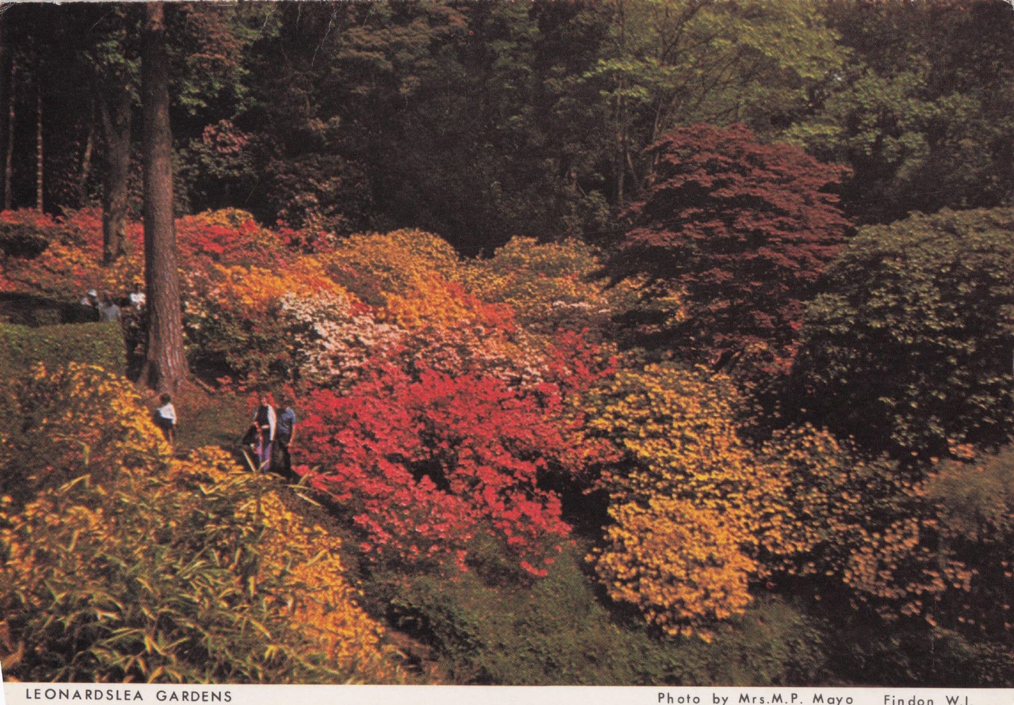 Leonardslea Gardens Stunning Sussex Women's Institute Postcard