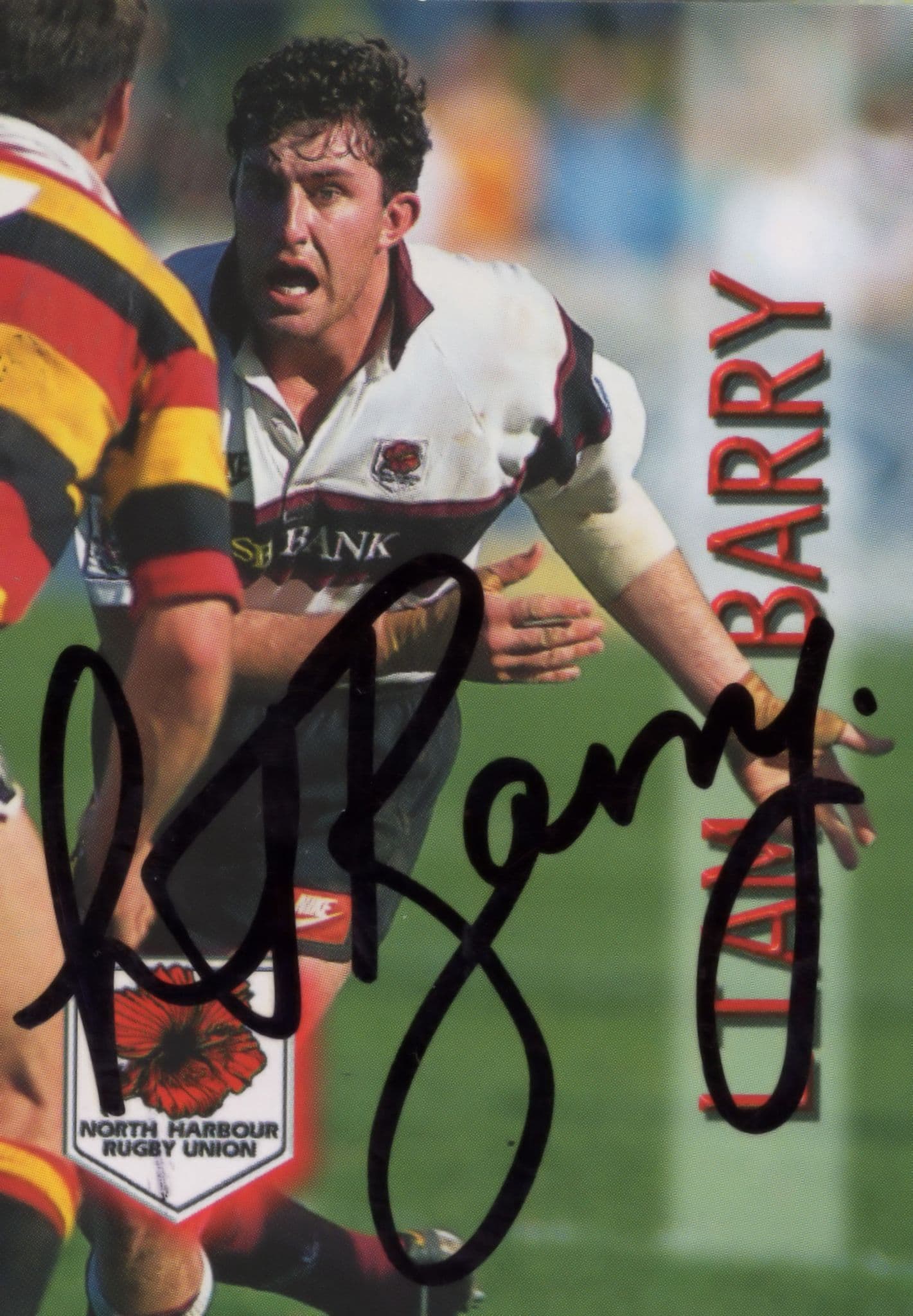 Liam Barry North Harbour New Zealand Rugby Hand Signed Card Photo