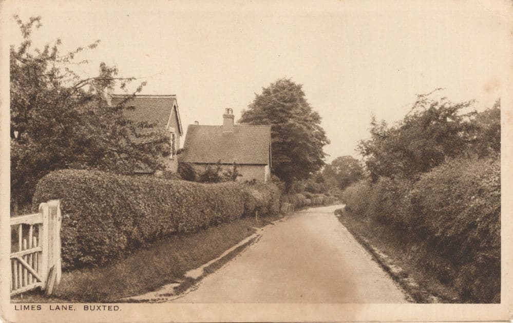 Limes Lane Buxted Sussex Old Postcard