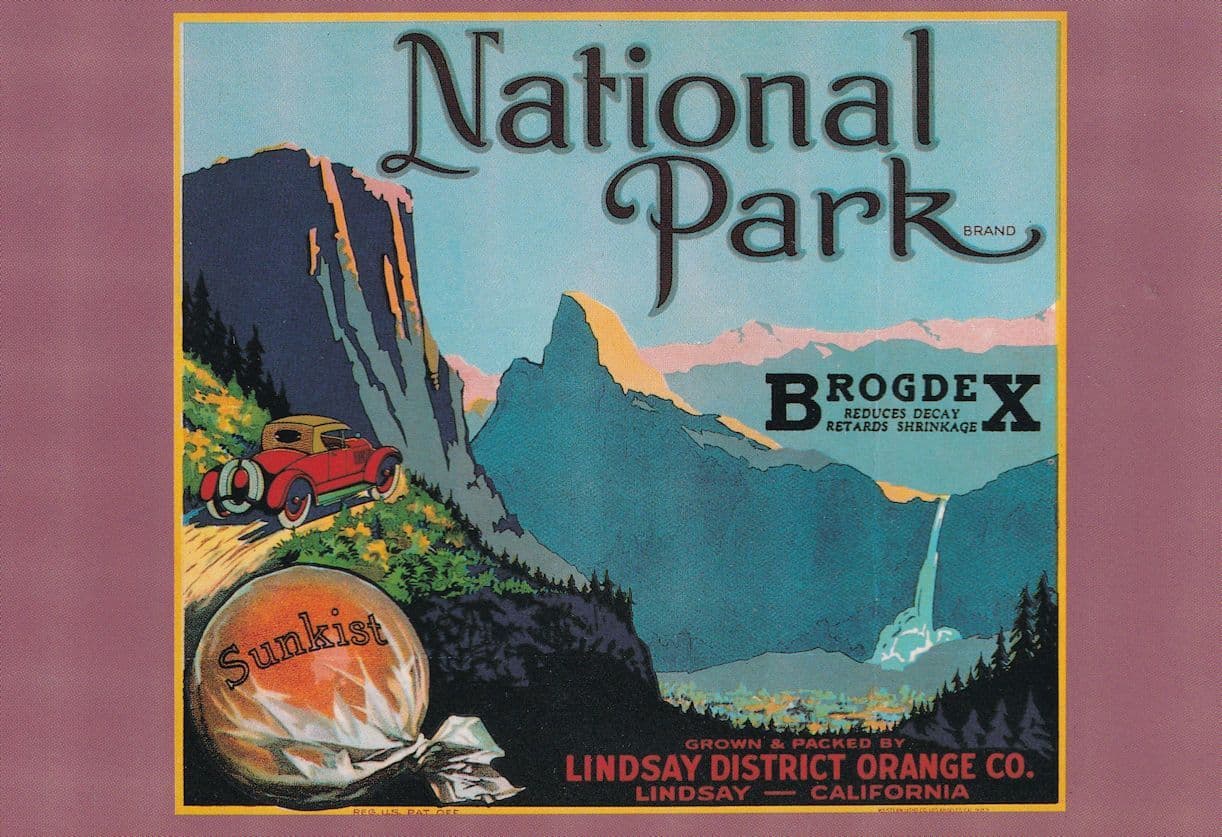 Lindsay District Orange Co National Park CA Advertising Postcard