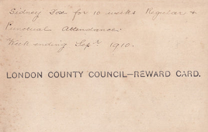 Lion Giant Cat London County Council Reward Postcard Card