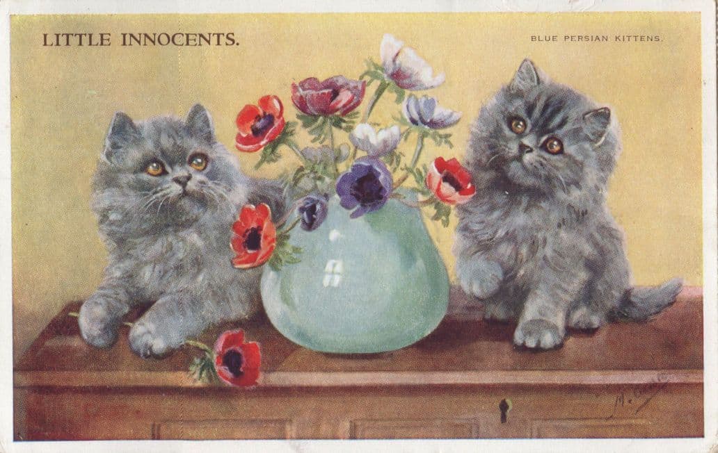 Little Innocents Rare Vase Kitten Blue Persian Cats Mabel Gear Old Postcard