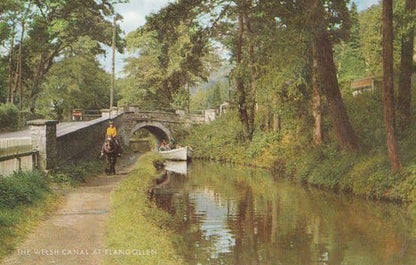 Llangollen Canal 3x THREE 1970s Postcard s