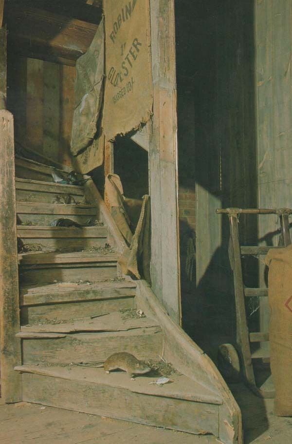 Llanthony Antique Staircase Gloucester Harbour Docks Vintage Musuem Postcard