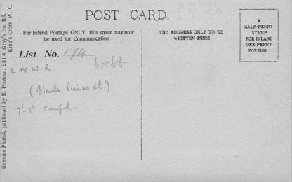 LNWR Antique Reverse Identification Old Train Railway RPC Postcard