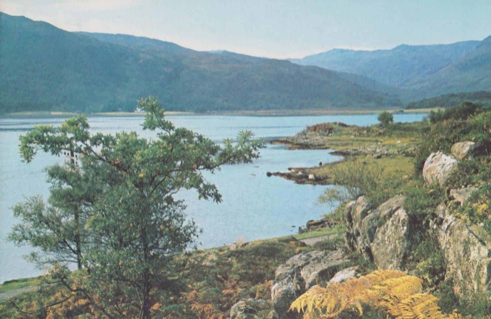 Loch Sunart Ardnamurchan Postcard
