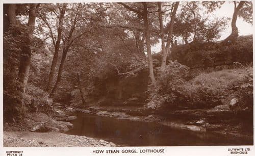Lofthouse How Stean Gorge Real Photo Yorkshire Postcard