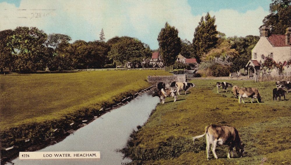 Log Water River Heacham Sussex 1960s Postcard