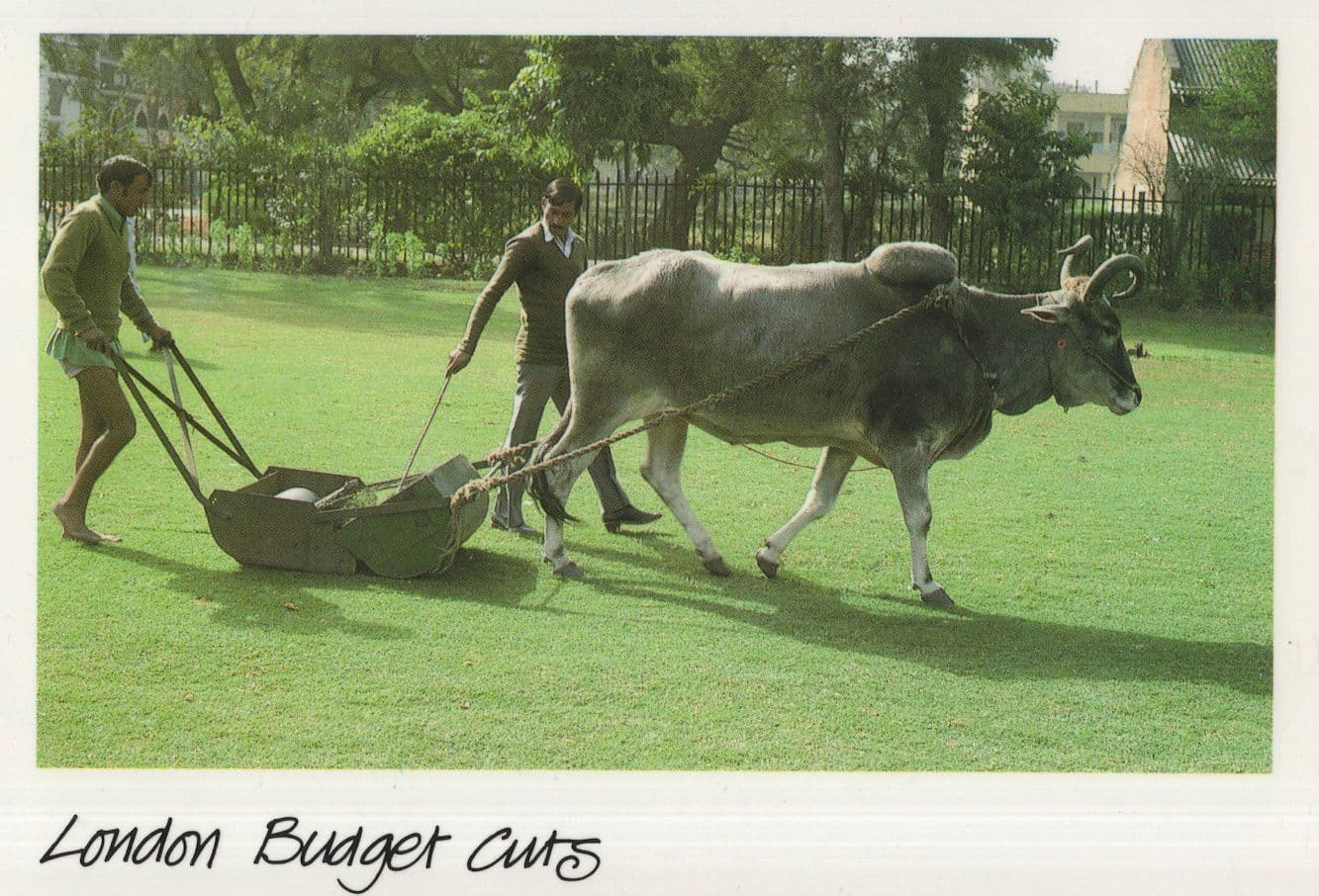 London Budget Cuts Cow Park Lawnmower Political Comic Postcard
