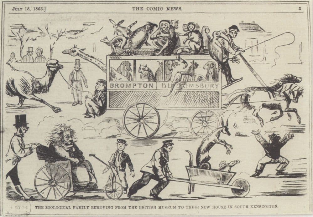 London Natural History Museum Comic Kensington Victorian Transport Postcard