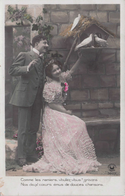 Lovers At Birds House Nest Secret Spy Code Glamour Lady Old Romantic Postcard
