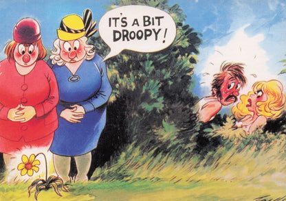 Lovers Sex In Bushes OAP Flowers Wilting Bamforth Comic Postcard