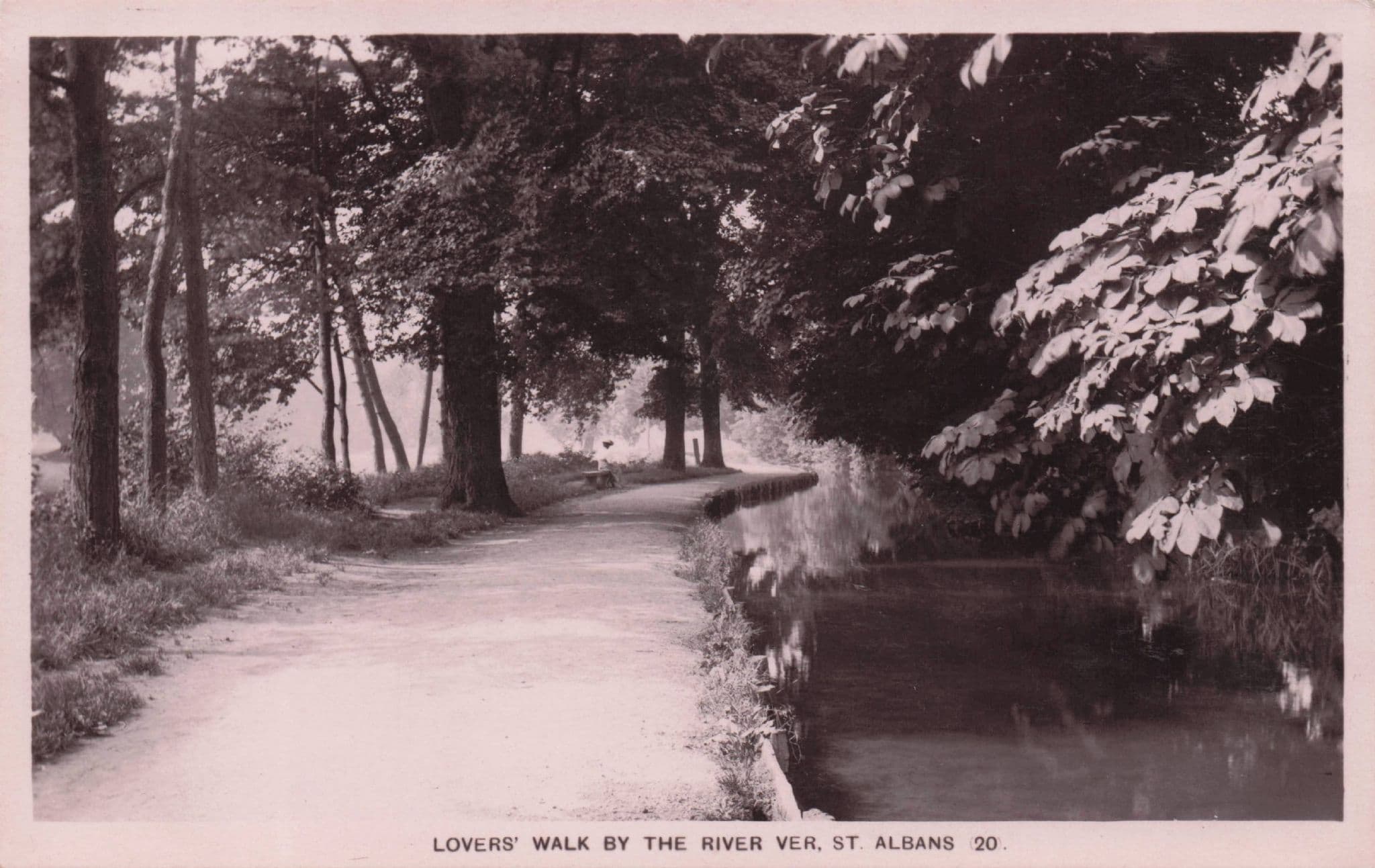 Lovers Walk By The River Ver St Albans Herts Old RPC Postcard