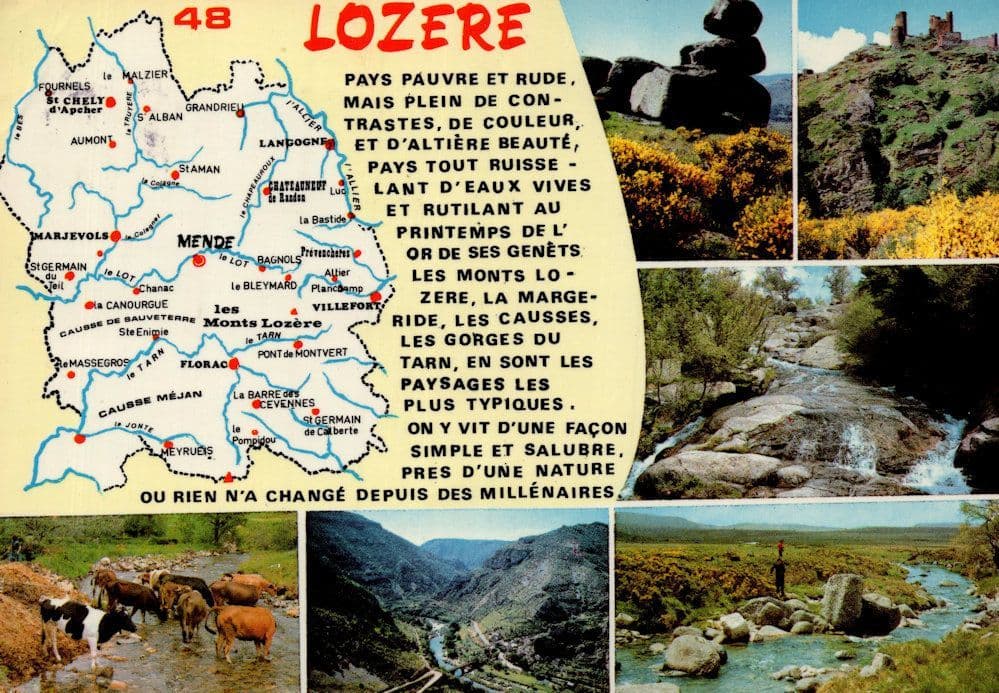 Lozere French Map Farm Animals 1980s Postcard