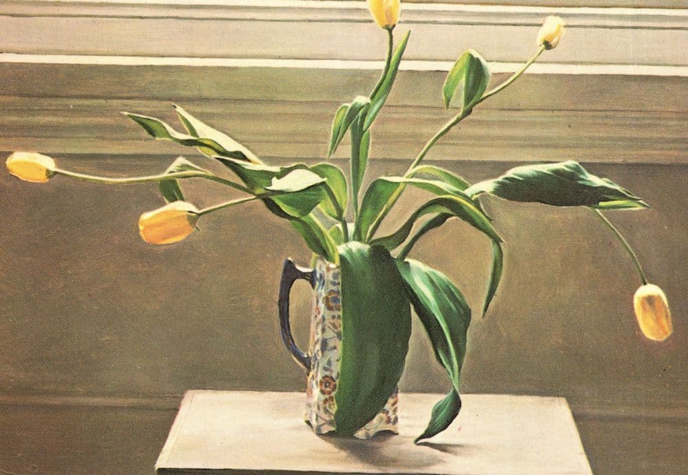 Lucy Mackenzie Tulips London Painting Old Postcard