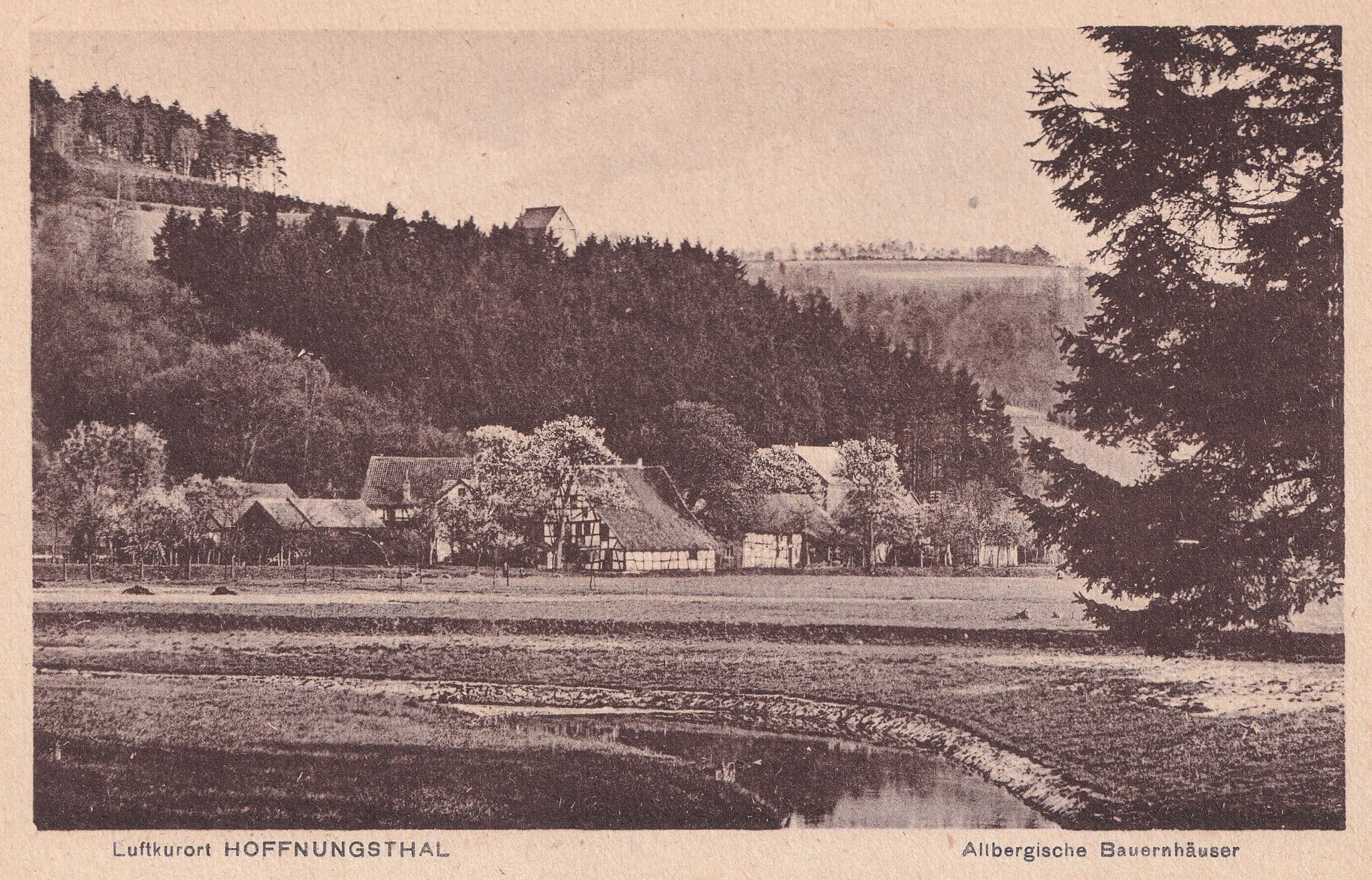 Luftkurort Hoffnungsthal Bauernhauser Antique German Postcard