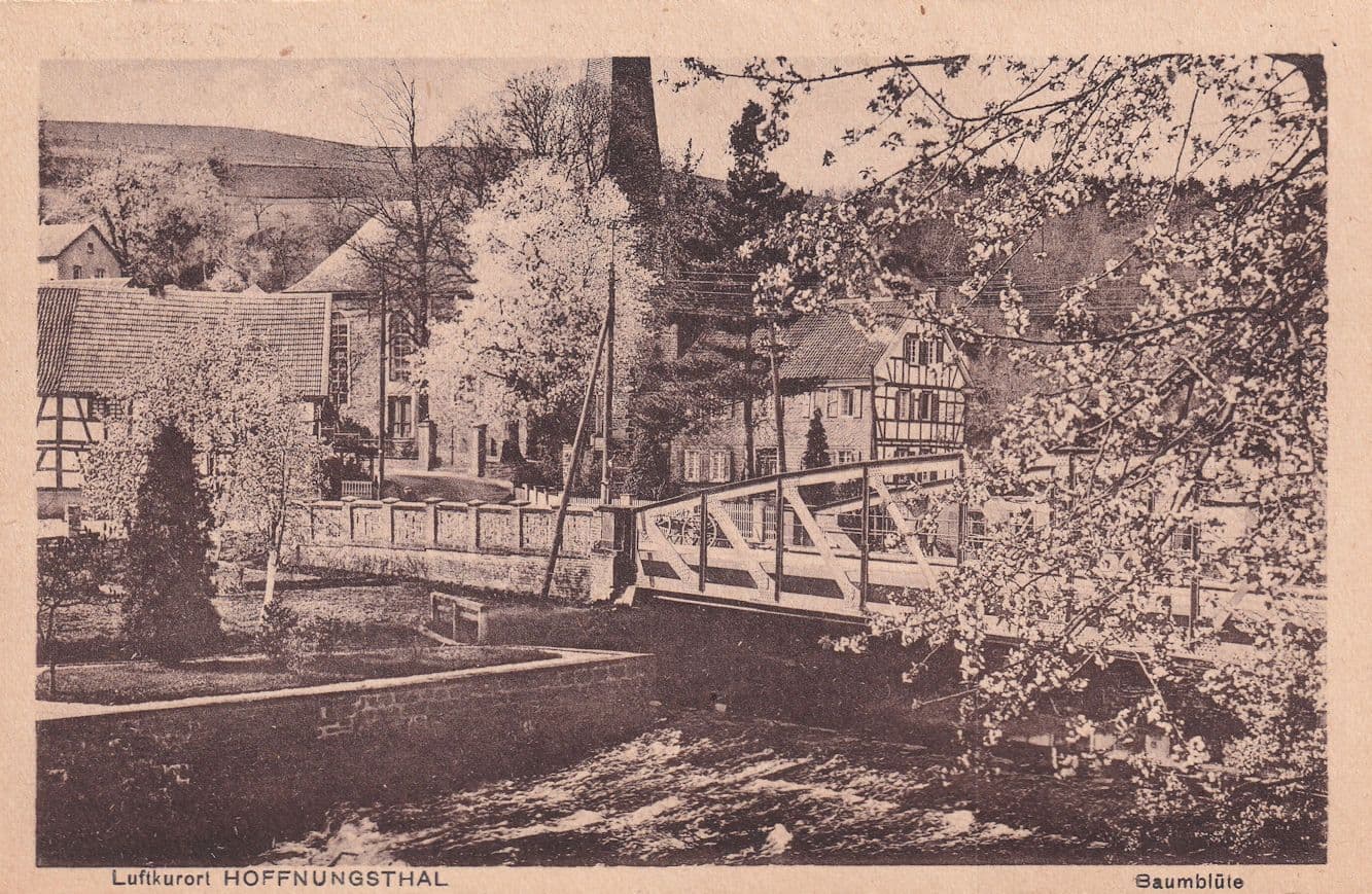 Luftkurort Hoffnungsthal Baumblute Antique German Postcard