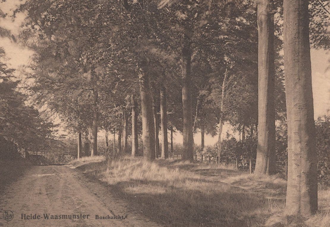 Lusthof Lekkerbek Hotel Pension Waasmunster Belgium Postcard